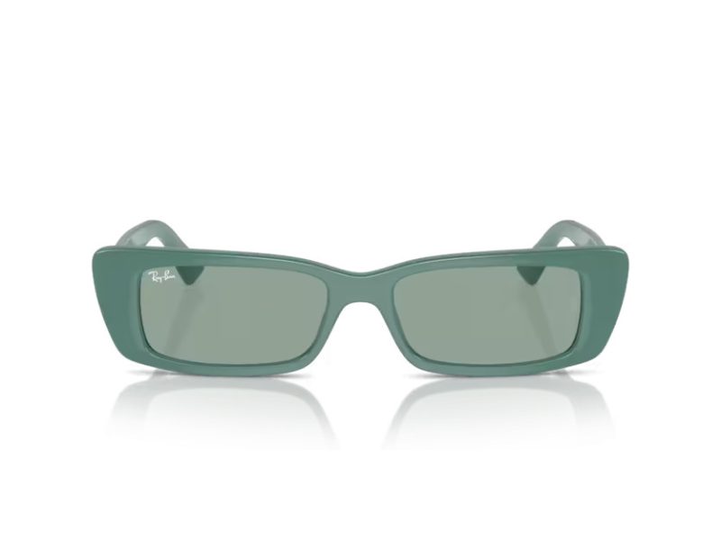 Ray-Ban Teru Gafas de Sol RB 4425 676282