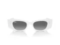 Ray-Ban Kat Gafas de Sol RB 4427 675911