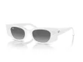 Ray-Ban Kat Gafas de Sol RB 4427 675911