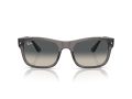 Ray-Ban Gafas de Sol RB 0RB4428 667571