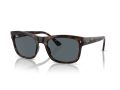 Ray-Ban Gafas de Sol RB 0RB4428 710/R5