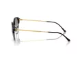 Ray-Ban Gafas de Sol RB 0RB4429 672332