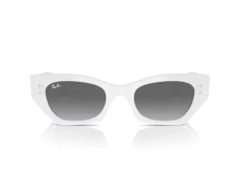 Ray-Ban Zena Gafas de Sol RB 4430 675911