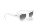 Ray-Ban Zena Gafas de Sol RB 4430 675911_52