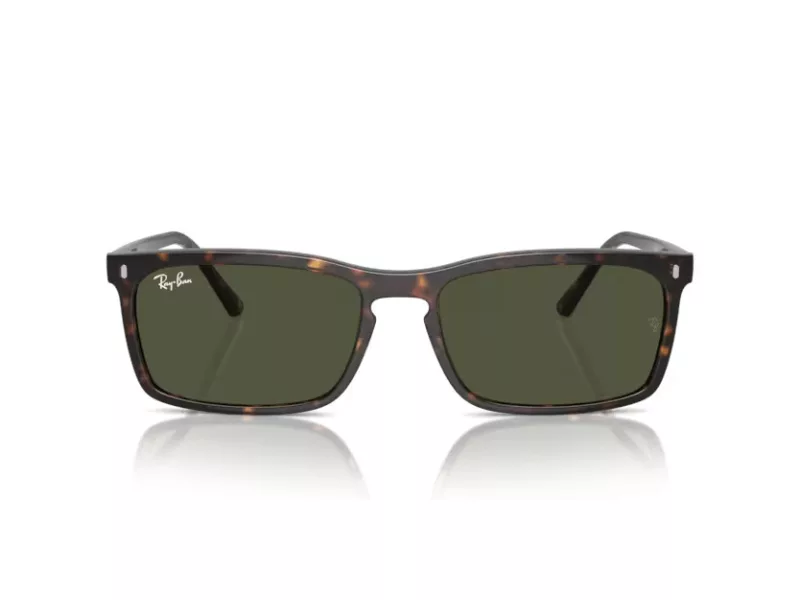 Ray-Ban Gafas de Sol RB 4435 902/31