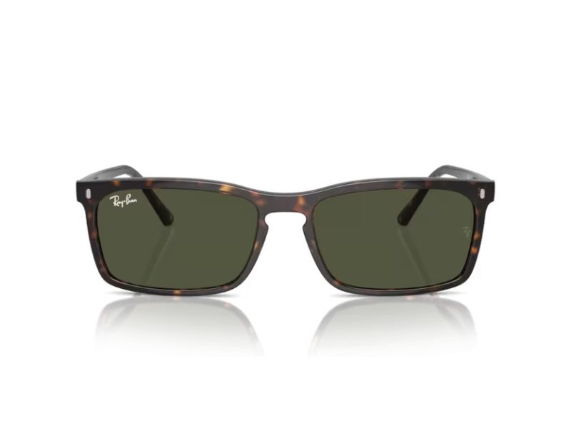 Ray-Ban Gafas de Sol RB 4435 902/31