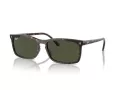 Ray-Ban Gafas de Sol RB 4435 902/31