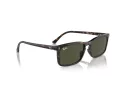Ray-Ban Gafas de Sol RB 4435 902/31
