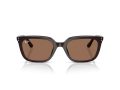 Ray-Ban Gafas de Sol RB 4439D 623173