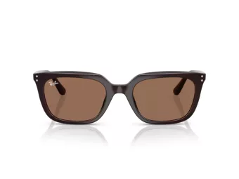 Ray-Ban Gafas de Sol RB 4439D 623173