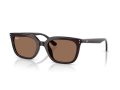 Ray-Ban Gafas de Sol RB 4439D 623173