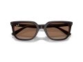 Ray-Ban Gafas de Sol RB 4439D 623173
