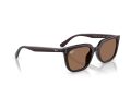 Ray-Ban Gafas de Sol RB 4439D 623173
