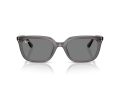 Ray-Ban Gafas de Sol RB 4439D 667587