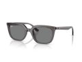 Ray-Ban Gafas de Sol RB 4439D 667587