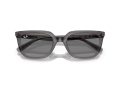 Ray-Ban Gafas de Sol RB 4439D 667587