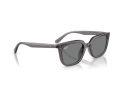 Ray-Ban Gafas de Sol RB 4439D 667587