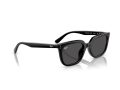 Ray-Ban Gafas de Sol RB 4439D 901/87