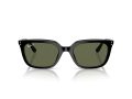 Ray-Ban Gafas de Sol RB 4439D 901/9A