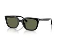 Ray-Ban Gafas de Sol RB 4439D 901/9A