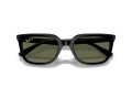 Ray-Ban Gafas de Sol RB 4439D 901/9A