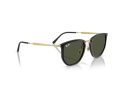 Ray-Ban Gafas de Sol RB 4451 630631