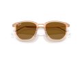 Ray-Ban Gafas de Sol RB 4451 680133_50