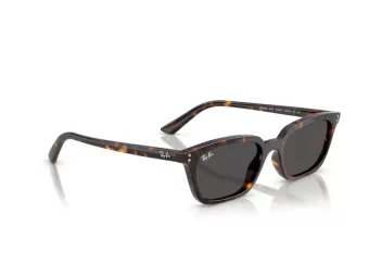 Ray-Ban Zaya Gafas de Sol RB 4456 135987