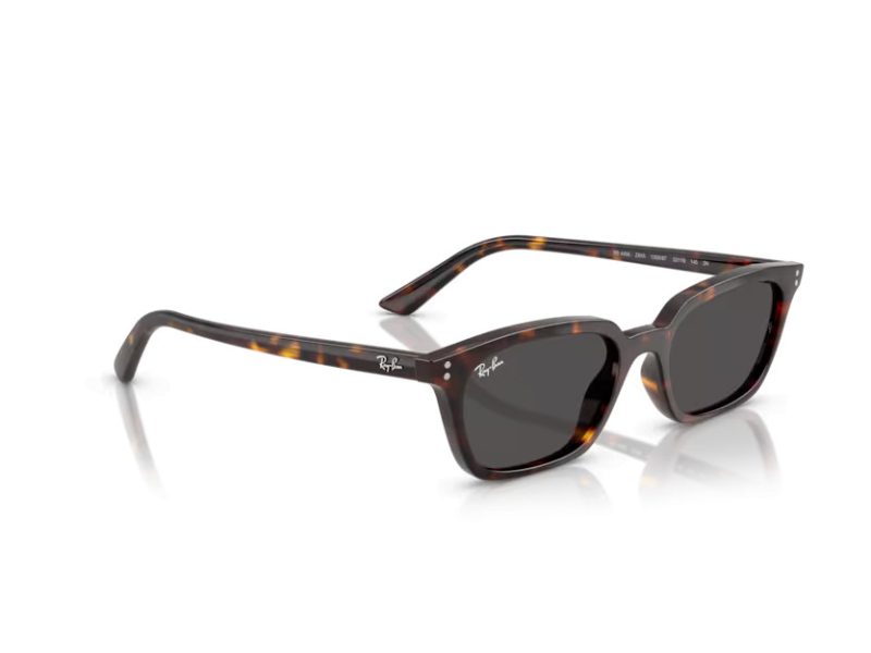 Ray-Ban Zaya Gafas de Sol RB 4456 135987