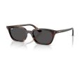 Ray-Ban Zaya Gafas de Sol RB 4456 135987