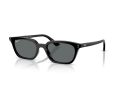Ray-Ban Zaya Gafas de Sol RB 4456 667781