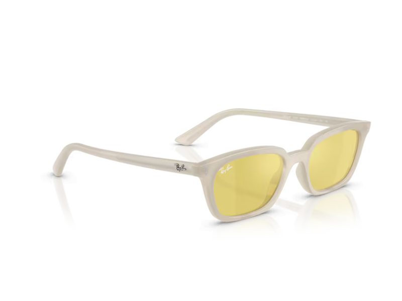 Ray-Ban Zaya Gafas de Sol RB 4456 68086D
