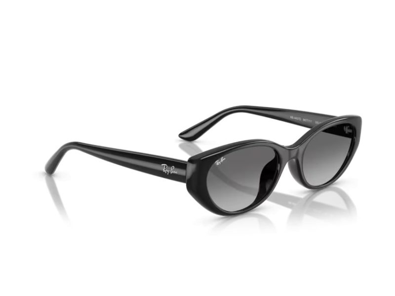 Ray-Ban Gafas de Sol RB 4457D 667711