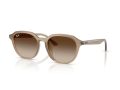 Ray-Ban Gafas de Sol RB 4459D 616613
