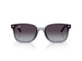 Ray-Ban Gafas de Sol RB 4461D 64508G
