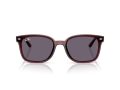 Ray-Ban Gafas de Sol RB 4461D 659373