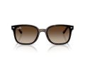 Ray-Ban Gafas de Sol RB 4461D 710/13