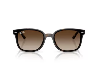 Ray-Ban Gafas de Sol RB 4461D 710/13