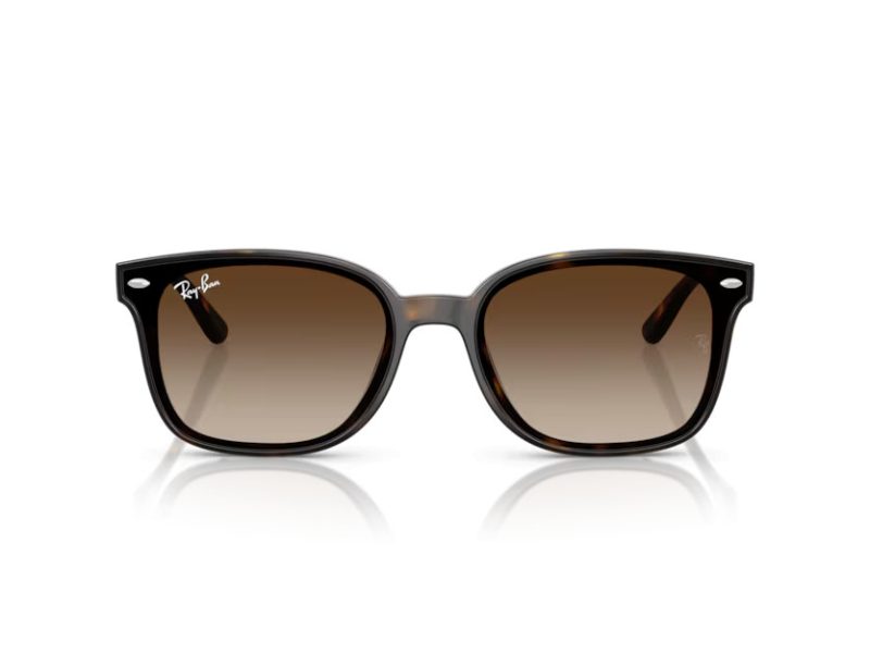 Ray-Ban Gafas de Sol RB 4461D 710/13