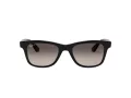 Ray-Ban Gafas de Sol RB 4640 601/M3