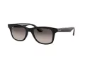 Ray-Ban Gafas de Sol RB 4640 601/M3