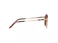 Ray-Ban Round Ii Titanium Gafas de Sol RB 8237 3140/AF_50