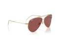 Ray-Ban Aviator Reverse Gafas de Sol RB R0101S 001/69_62