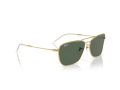Ray-Ban Caravan Reverse Gafas de Sol RB 0RBR0102S 001/VR_58