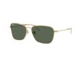 Ray-Ban Caravan Reverse Gafas de Sol RB 0RBR0102S 001/VR_61