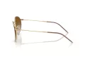 Ray-Ban Round Reverse Gafas de Sol RB R0103S 001/CB_53