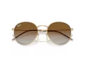 Ray-Ban Round Reverse Gafas de Sol RB R0103S 001/CB_53