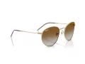 Ray-Ban Round Reverse Gafas de Sol RB R0103S 001/CB_53