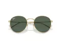 Ray-Ban Round Reverse Gafas de Sol RB R0103S 001/VR_53