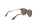 Ray-Ban Junior Erika Gafas de Sol 9060S 700673